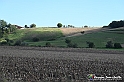 VBS_5336 - La solita strada... il grano da crescere, i campi da arare...